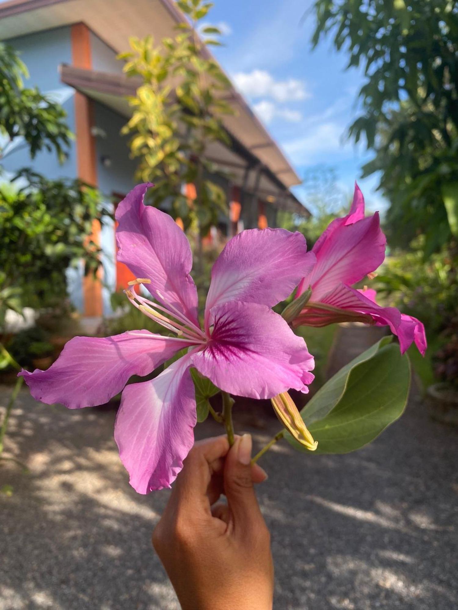Villafarmsuk@Khanom Dış mekan fotoğraf